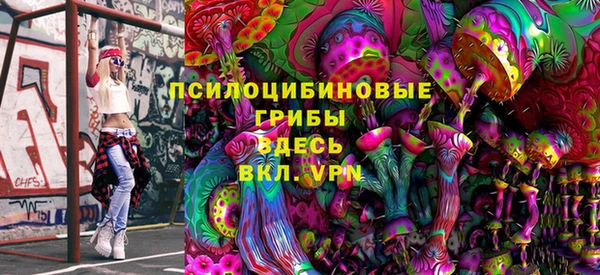 mix Богородицк