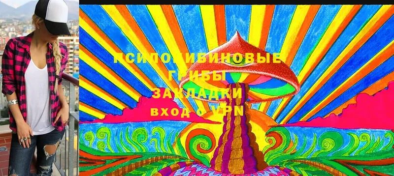 Галлюциногенные грибы Magic Shrooms  Электроугли 